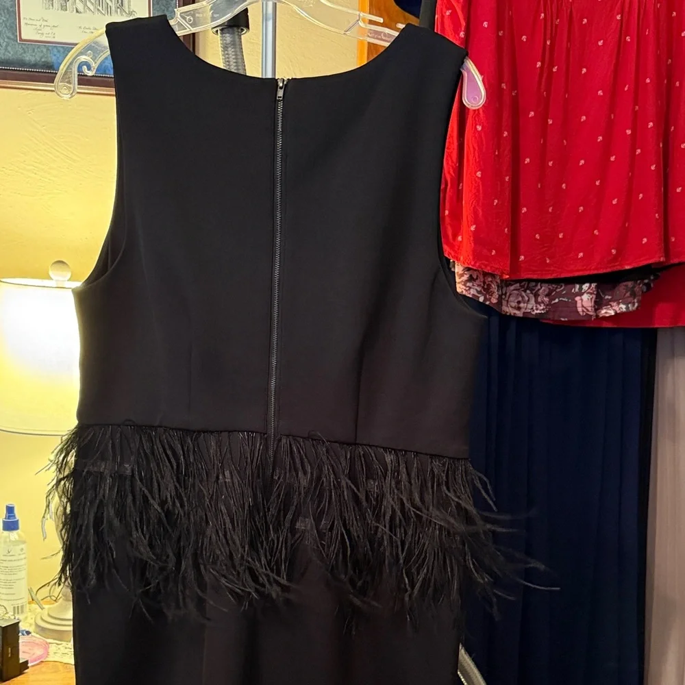 Eloquii Black Dress size 14 with Feather Trim. Like new. - Picture 3 of 5